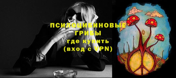 PSILOCYBIN Богородск