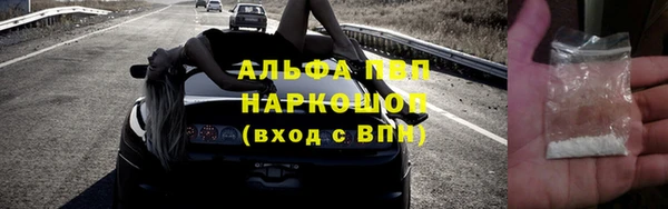 PSILOCYBIN Богородск
