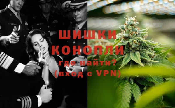 PSILOCYBIN Богородск