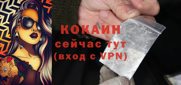 PSILOCYBIN Богородск