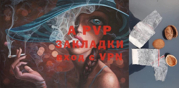 PSILOCYBIN Богородск