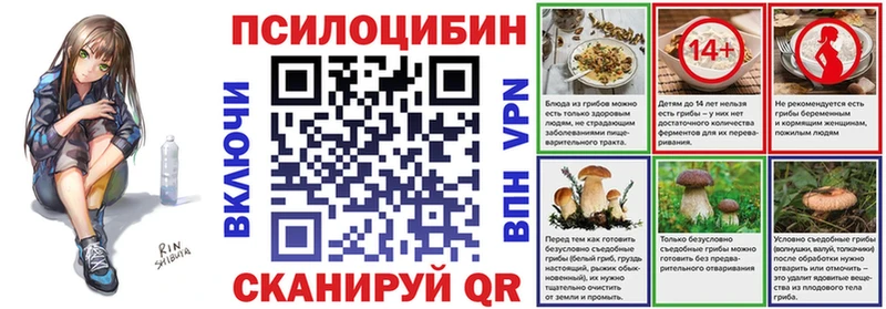 наркотики  Козельск  Галлюциногенные грибы мицелий 