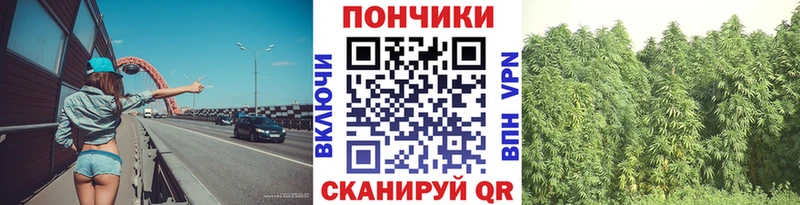Бошки марихуана индика omg маркетплейс Козельск